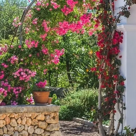 Finca Son Martorellet * Феррериас