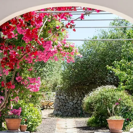 Finca Son Martorellet Феррериас