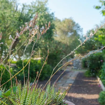 Вилла Finca Son Martorellet *